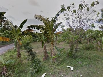 DYU - FOR SALE: 24,487 sqm Lot in Magallanes, Cavite