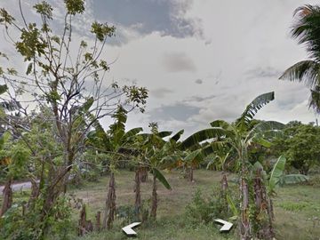 DYU - FOR SALE: 24,487 sqm Lot in Magallanes, Cavite