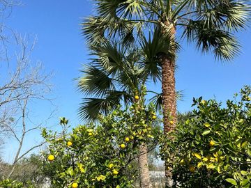 QUINTA EN VENTA BOSQUES DE LA SILLA JUAREZ NUEVO LEON