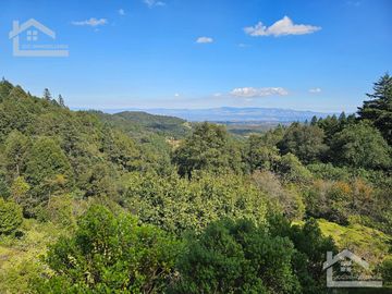 TERRENO EN LA ZONA DE CUEVA BLANCA CERCA DE LA PEÑA DEL CUERVO MINERAL DEL CHICO $375 EL M2
