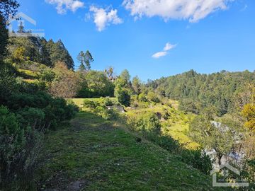 TERRENO EN LA ZONA DE CUEVA BLANCA CERCA DE LA PEÑA DEL CUERVO MINERAL DEL CHICO $375 EL M2