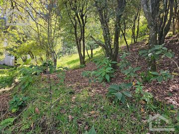 TERRENO EN LA ZONA DE CUEVA BLANCA CERCA DE LA PEÑA DEL CUERVO MINERAL DEL CHICO $375 EL M2
