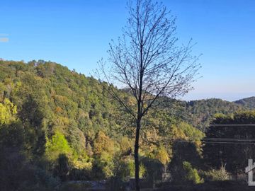 TERRENO EN LA ZONA DE CUEVA BLANCA CERCA DE LA PEÑA DEL CUERVO MINERAL DEL CHICO $375 EL M2