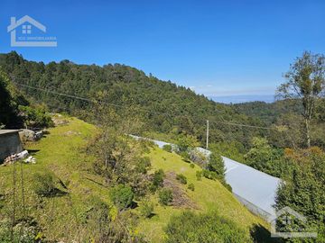 TERRENO EN LA ZONA DE CUEVA BLANCA CERCA DE LA PEÑA DEL CUERVO MINERAL DEL CHICO $375 EL M2