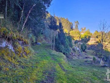 TERRENO EN LA ZONA DE CUEVA BLANCA CERCA DE LA PEÑA DEL CUERVO MINERAL DEL CHICO $375 EL M2