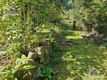 TERRENO EN LA ZONA DE CUEVA BLANCA CERCA DE LA PEÑA DEL CUERVO MINERAL DEL CHICO $375 EL M2