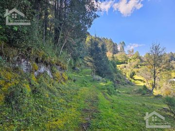 TERRENO EN LA ZONA DE CUEVA BLANCA CERCA DE LA PEÑA DEL CUERVO MINERAL DEL CHICO $375 EL M2