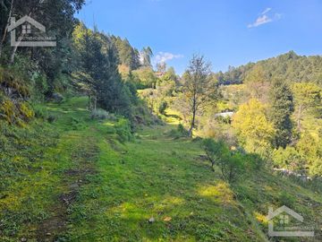 TERRENO EN LA ZONA DE CUEVA BLANCA CERCA DE LA PEÑA DEL CUERVO MINERAL DEL CHICO $375 EL M2