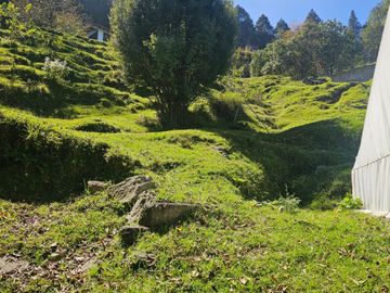 TERRENO EN LA ZONA DE CUEVA BLANCA CERCA DE LA PEÑA DEL CUERVO MINERAL DEL CHICO $375 EL M2