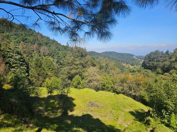TERRENO EN LA ZONA DE CUEVA BLANCA CERCA DE LA PEÑA DEL CUERVO MINERAL DEL CHICO $375 EL M2