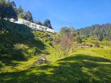 TERRENO EN LA ZONA DE CUEVA BLANCA CERCA DE LA PEÑA DEL CUERVO MINERAL DEL CHICO $375 EL M2