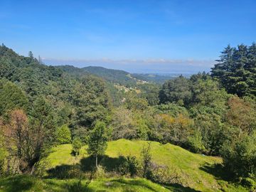 TERRENO EN LA ZONA DE CUEVA BLANCA CERCA DE LA PEÑA DEL CUERVO MINERAL DEL CHICO $375 EL M2