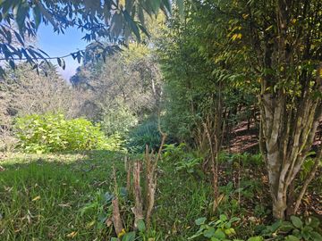 TERRENO EN LA ZONA DE CUEVA BLANCA CERCA DE LA PEÑA DEL CUERVO MINERAL DEL CHICO $375 EL M2