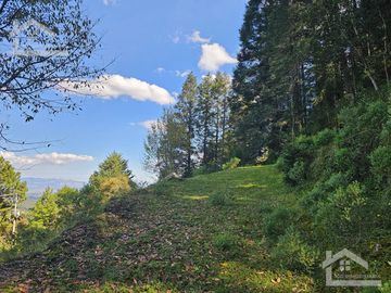 TERRENO EN LA ZONA DE CUEVA BLANCA CERCA DE LA PEÑA DEL CUERVO MINERAL DEL CHICO $375 EL M2