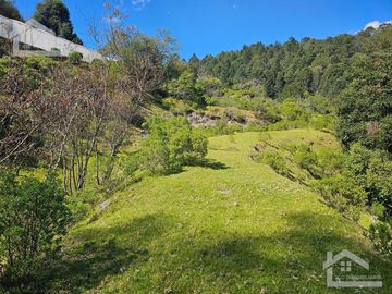 TERRENO EN LA ZONA DE CUEVA BLANCA CERCA DE LA PEÑA DEL CUERVO MINERAL DEL CHICO $375 EL M2