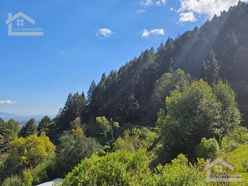 TERRENO EN LA ZONA DE CUEVA BLANCA CERCA DE LA PEÑA DEL CUERVO MINERAL DEL CHICO $375 EL M2