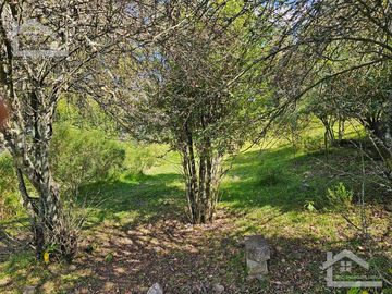 TERRENO EN LA ZONA DE CUEVA BLANCA CERCA DE LA PEÑA DEL CUERVO MINERAL DEL CHICO $375 EL M2