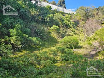 TERRENO EN LA ZONA DE CUEVA BLANCA CERCA DE LA PEÑA DEL CUERVO MINERAL DEL CHICO $375 EL M2