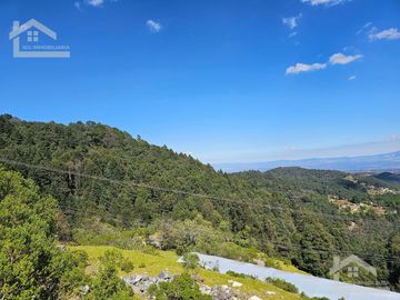 TERRENO EN LA ZONA DE CUEVA BLANCA CERCA DE LA PEÑA DEL CUERVO MINERAL DEL CHICO $375 EL M2