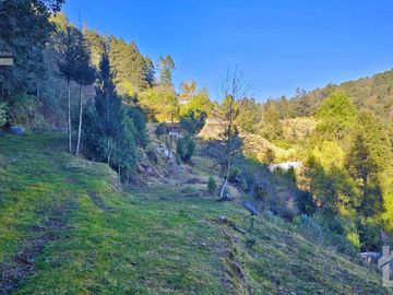 TERRENO EN LA ZONA DE CUEVA BLANCA CERCA DE LA PEÑA DEL CUERVO MINERAL DEL CHICO $375 EL M2