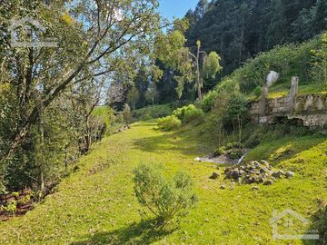 TERRENO EN LA ZONA DE CUEVA BLANCA CERCA DE LA PEÑA DEL CUERVO MINERAL DEL CHICO $375 EL M2