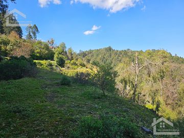 TERRENO EN LA ZONA DE CUEVA BLANCA CERCA DE LA PEÑA DEL CUERVO MINERAL DEL CHICO $375 EL M2