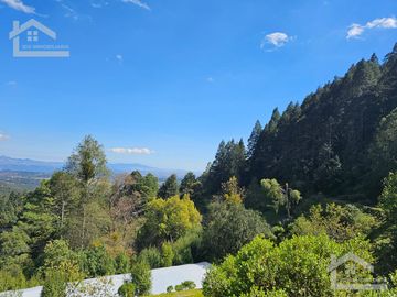 TERRENO EN LA ZONA DE CUEVA BLANCA CERCA DE LA PEÑA DEL CUERVO MINERAL DEL CHICO $375 EL M2
