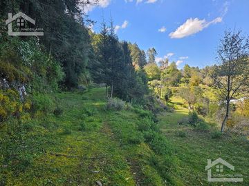 TERRENO EN LA ZONA DE CUEVA BLANCA CERCA DE LA PEÑA DEL CUERVO MINERAL DEL CHICO $375 EL M2