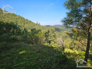 TERRENO EN LA ZONA DE CUEVA BLANCA CERCA DE LA PEÑA DEL CUERVO MINERAL DEL CHICO $375 EL M2