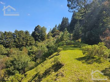TERRENO EN LA ZONA DE CUEVA BLANCA CERCA DE LA PEÑA DEL CUERVO MINERAL DEL CHICO $375 EL M2