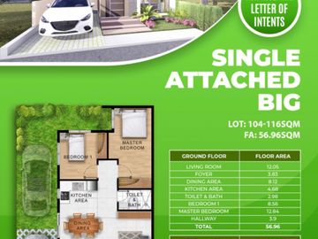 FOR SALE HOUSE & LOTS IN DANARRA SOUTH , MINGLANILLA, CEBU -KP