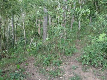 VENTA PARCELA 3.5 HECTAREAS K9 VIA A PAMPLONA VEREDA SANTA BARBARA