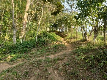VENTA PARCELA 3.5 HECTAREAS K9 VIA A PAMPLONA VEREDA SANTA BARBARA