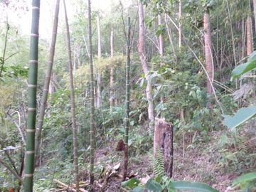 VENTA PARCELA 3.5 HECTAREAS K9 VIA A PAMPLONA VEREDA SANTA BARBARA