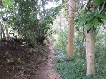VENTA PARCELA 3.5 HECTAREAS K9 VIA A PAMPLONA VEREDA SANTA BARBARA