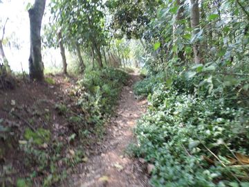 VENTA PARCELA 3.5 HECTAREAS K9 VIA A PAMPLONA VEREDA SANTA BARBARA