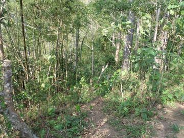 VENTA PARCELA 3.5 HECTAREAS K9 VIA A PAMPLONA VEREDA SANTA BARBARA