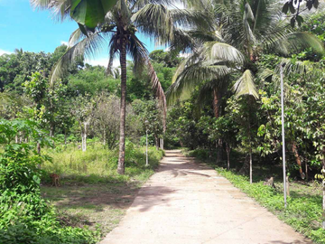 Agricultural/Farm lot for sale in San Pablo City, Laguna
