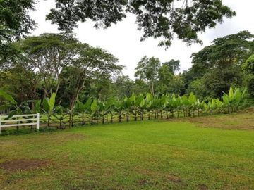 Beautiful land with mountain view for building a house or restaurant a small resort or a homestay.