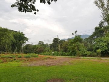 Beautiful land with mountain view for building a house or restaurant a small resort or a homestay.