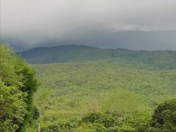 Beautiful land with mountain view for building a house or restaurant a small resort or a homestay.