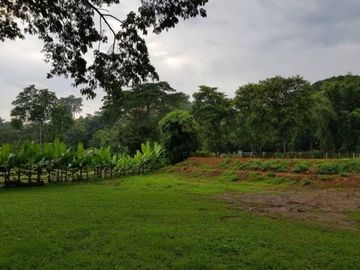 Beautiful land with mountain view for building a house or restaurant a small resort or a homestay.