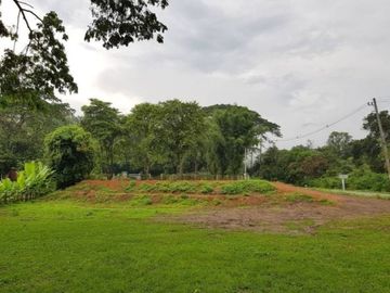 Beautiful land with mountain view for building a house or restaurant a small resort or a homestay.
