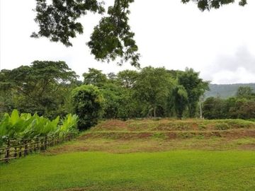 Beautiful land with mountain view for building a house or restaurant a small resort or a homestay.