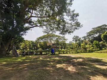 Beautiful land with mountain view for building a house or restaurant a small resort or a homestay.