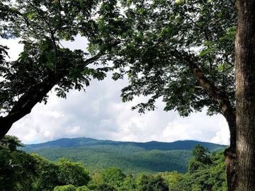Beautiful land with mountain view for building a house or restaurant a small resort or a homestay.