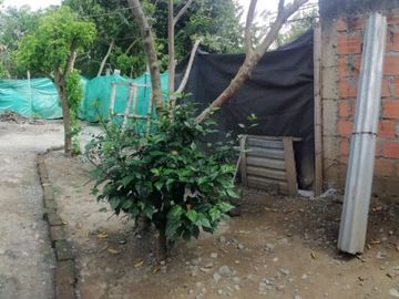 ANDALUCIA, SE VENDE CASA DE UN PISO CON PATIO AMPLIO