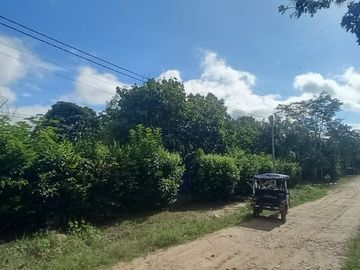VENDO TERRENO Distrito Las Palmas - La Banda De Shilcayo / Tarapoto