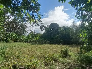 VENDO TERRENO Distrito Las Palmas - La Banda De Shilcayo / Tarapoto