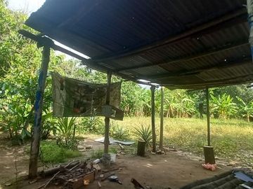 VENDO TERRENO Distrito Las Palmas - La Banda De Shilcayo / Tarapoto